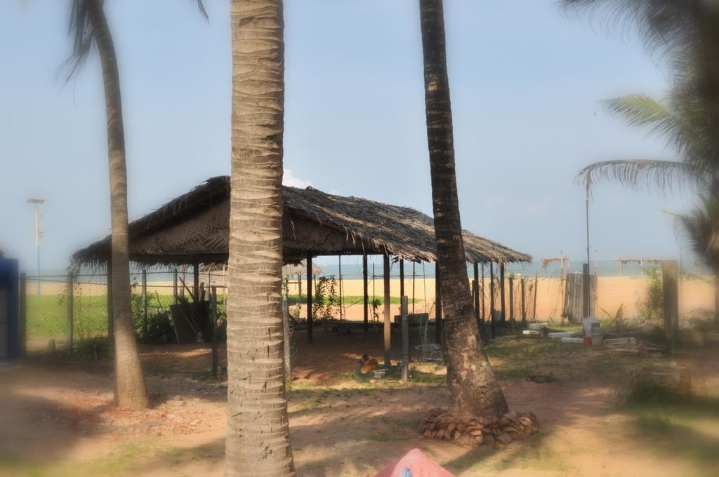 Tms Beach House Negombo Zewnętrze zdjęcie